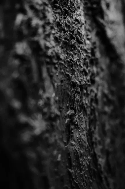 Detail Schwarzes Holz Als Eleganter Hintergrund Number 10