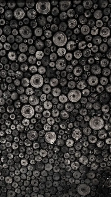 Detail Schwarzes Holz Als Eleganter Hintergrund Number 3