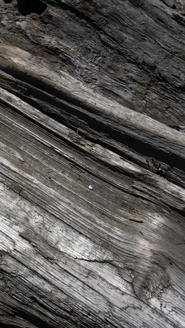 Detail Schwarzes Holz Als Eleganter Hintergrund Number 4