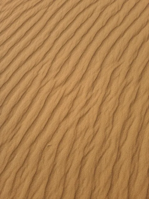 Detail Warmer Wüstensand Mit Windmustern Number 3