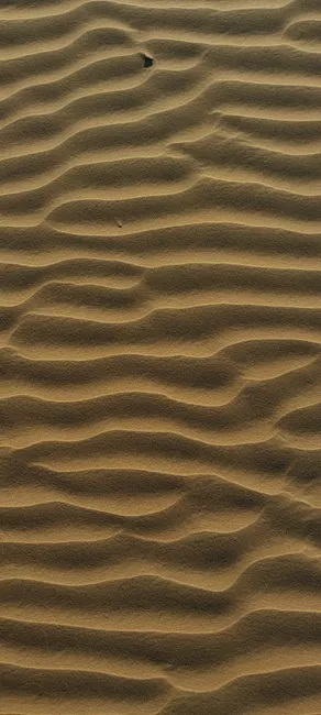 Detail Warmer Wüstensand Mit Windmustern Number 7