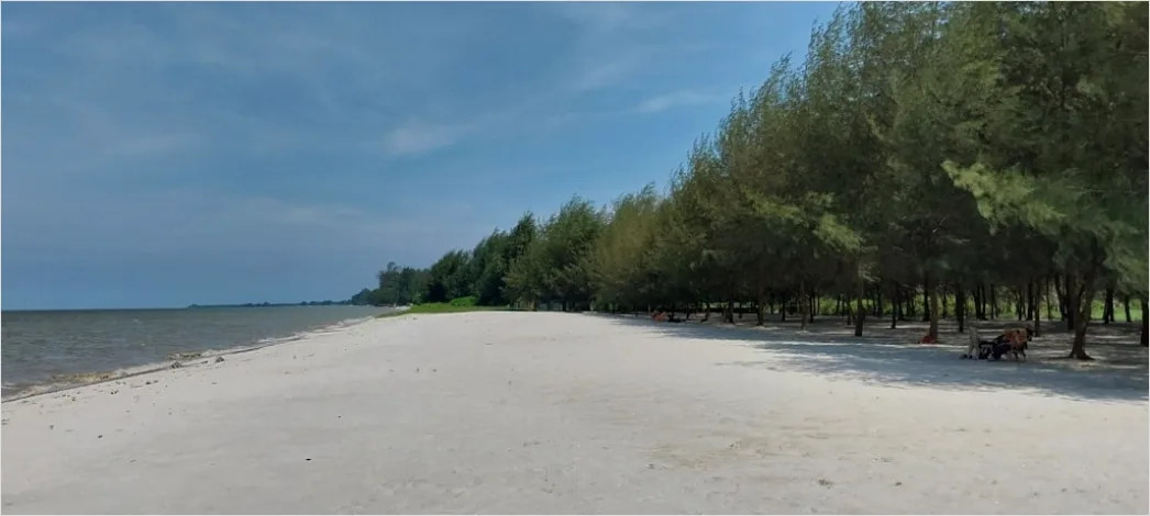 Detail Foto Es Kelapa Muda Segar Di Pantai Number 7
