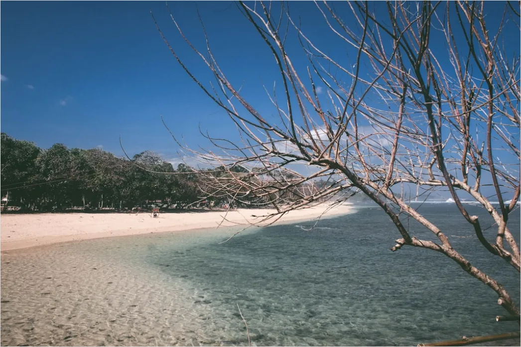 Detail Foto Es Kelapa Muda Segar Di Pantai Number 9