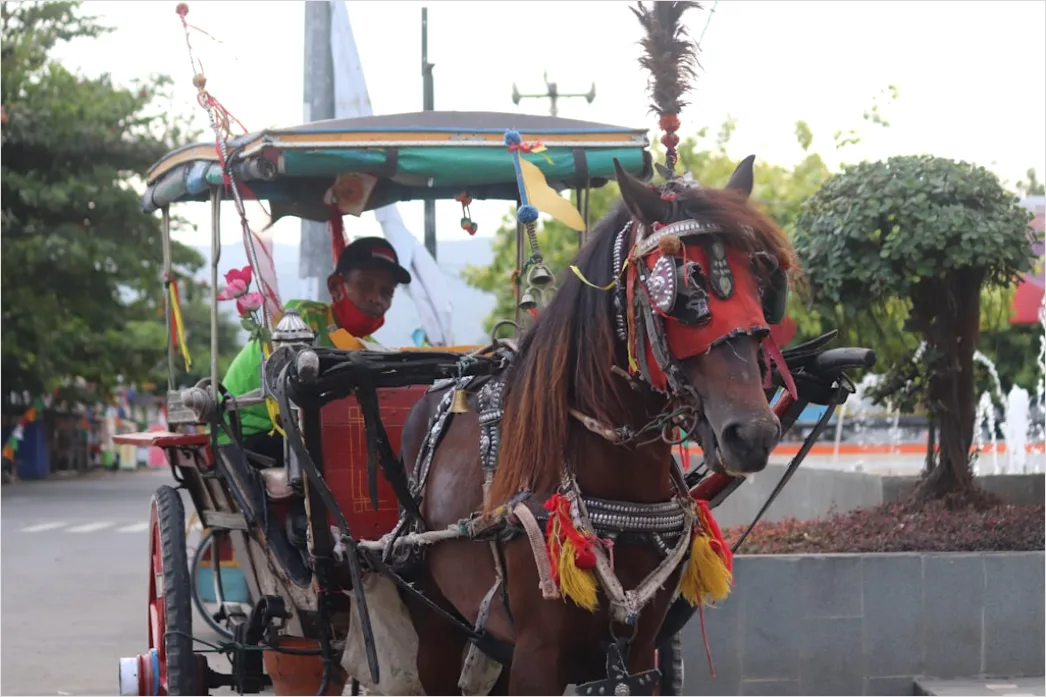 Foto Festival Tahun Baru Di Alun Alun F7bb
