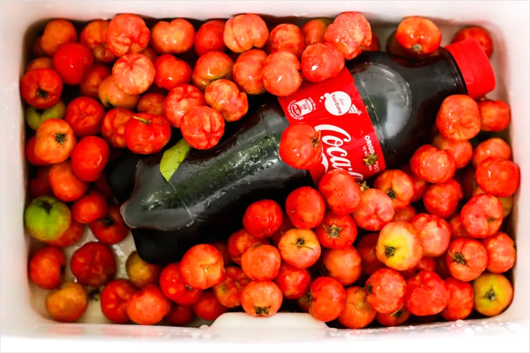 Foto Jus Jambu Merah Dengan Es Batu 9c99