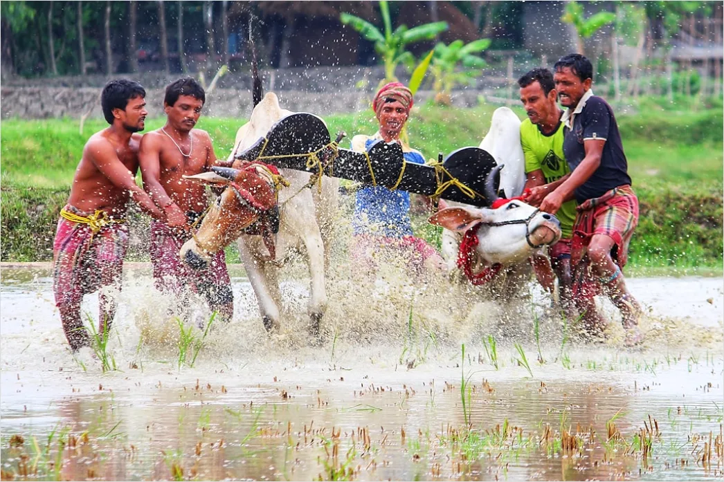 Detail Foto Lomba Tarik Tambang Warga Kampung Number 14