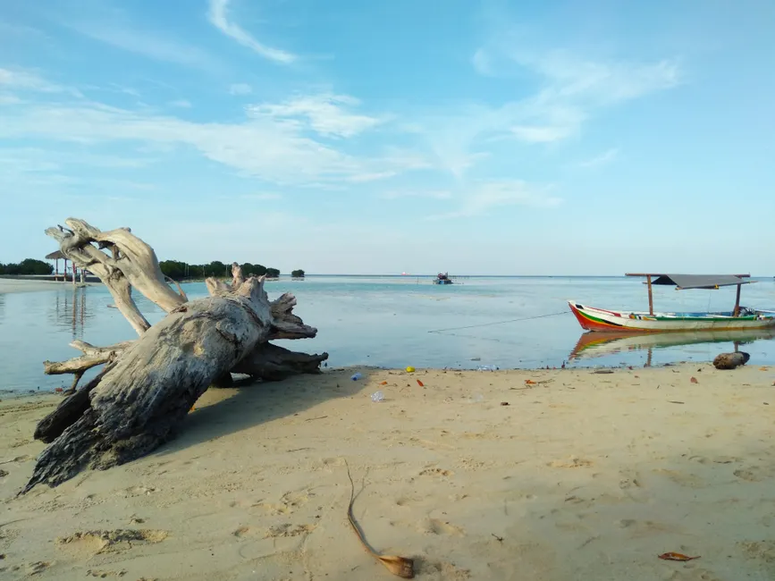 Foto Pesta Pantai Tema Tropis Ef72