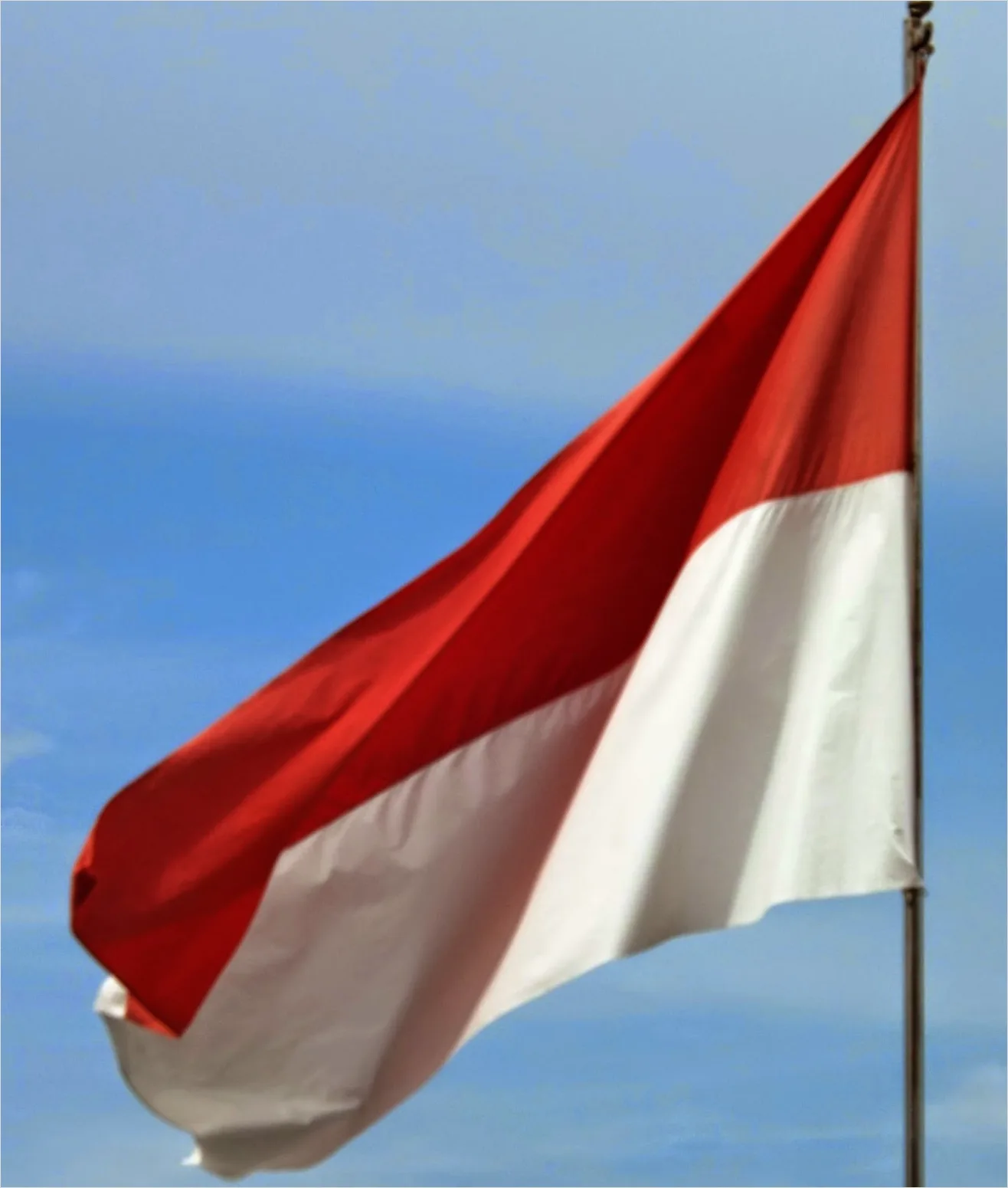 Detail Gambar Bendera Merah Putih Berkibar Di Sekolah Number 5