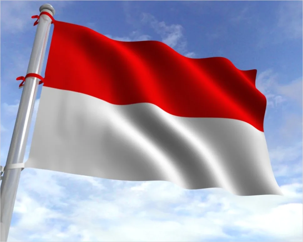 Detail Gambar Bendera Merah Putih Berkibar Di Sekolah Number 6