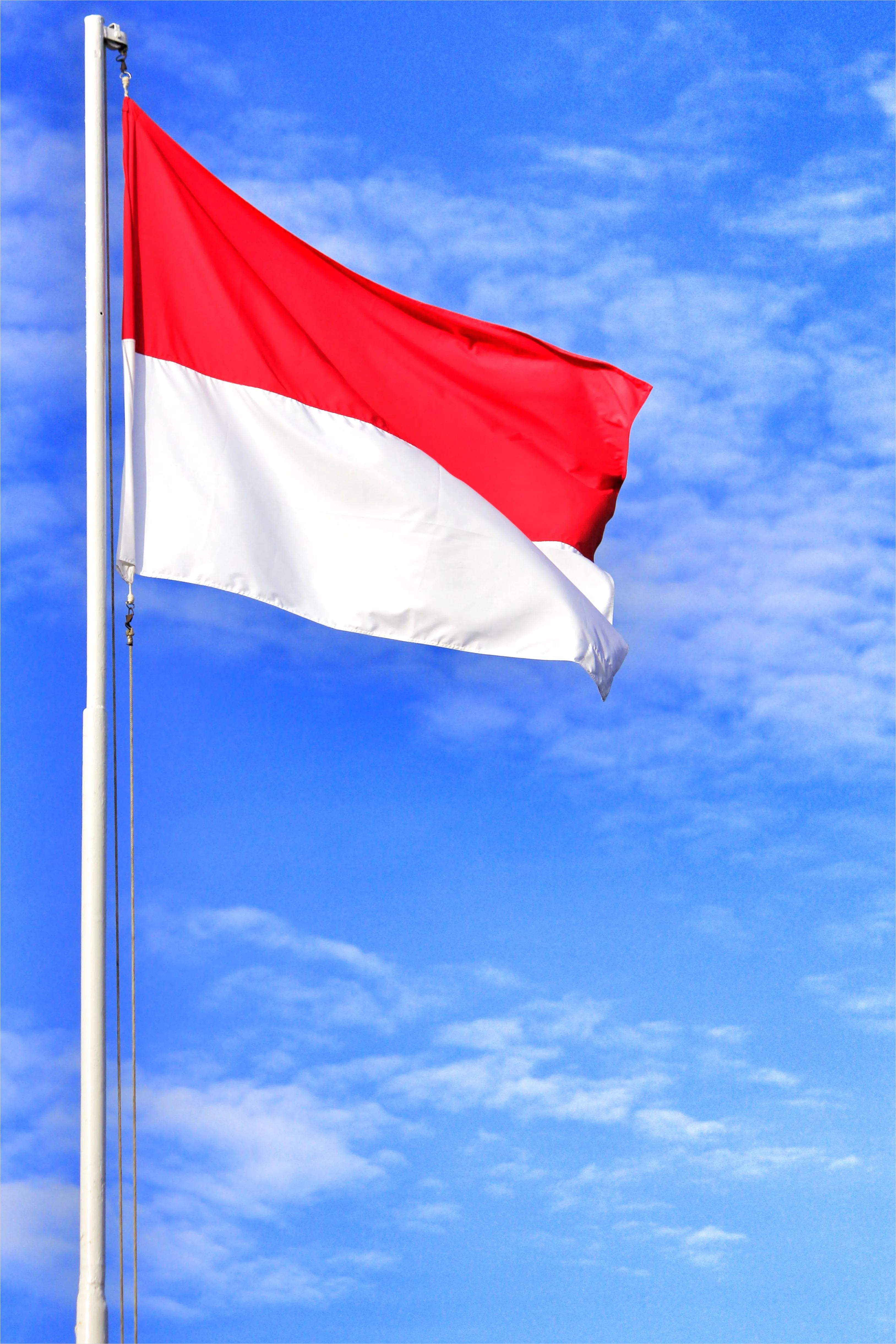 Detail Gambar Bendera Merah Putih Berkibar Di Sekolah Number 7