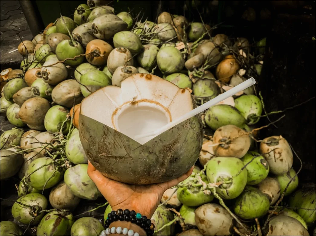 Detail Gambar Es Puter Kelapa Tradisional Number 12
