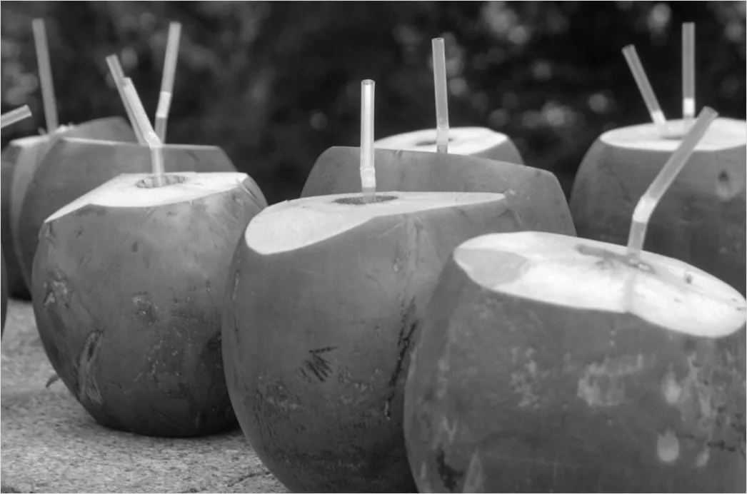 Detail Gambar Es Puter Kelapa Tradisional Number 16