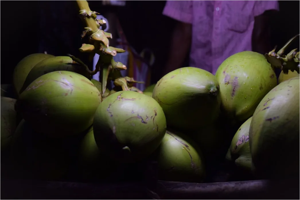 Detail Gambar Es Puter Kelapa Tradisional Number 19