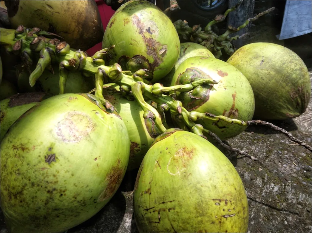 Detail Gambar Es Puter Kelapa Tradisional Number 6