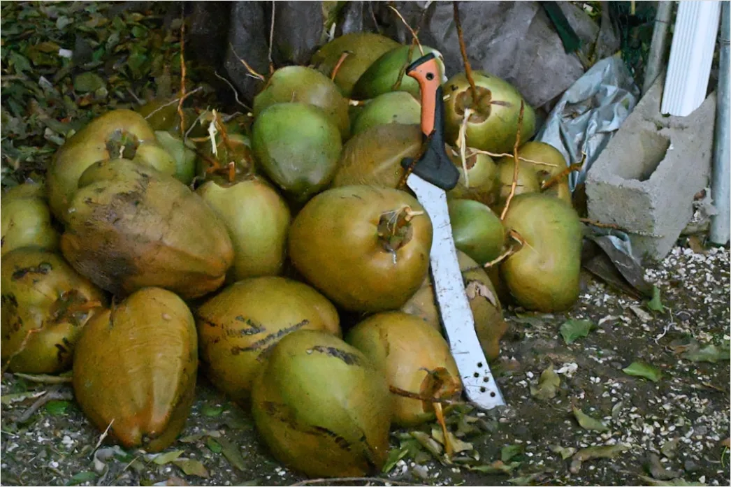 Detail Gambar Es Puter Kelapa Tradisional Number 8