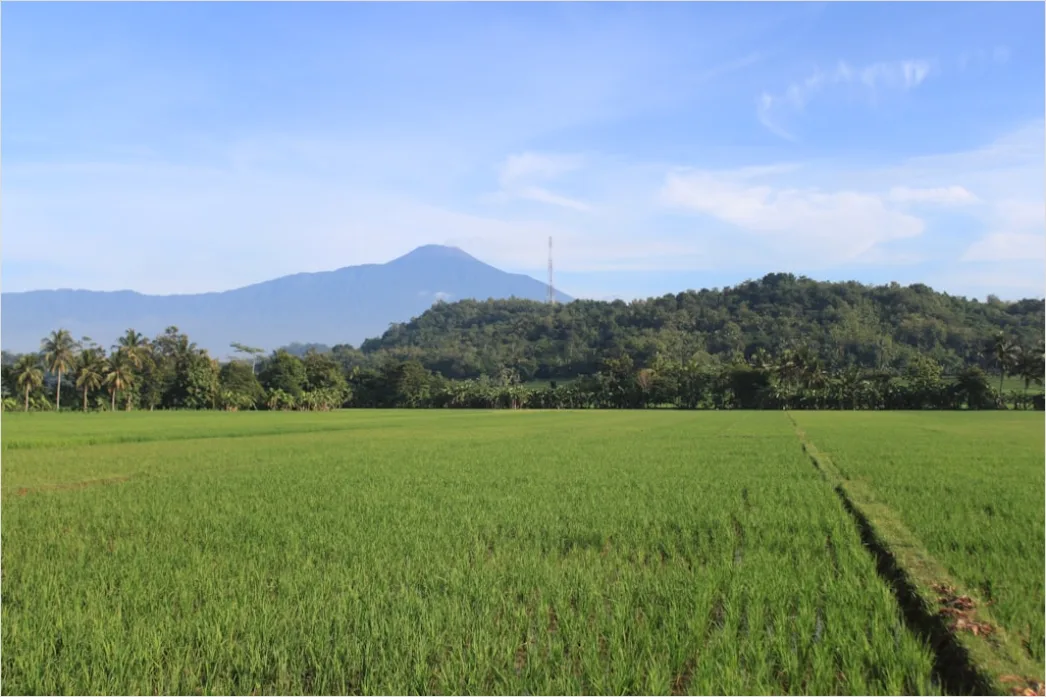 Detail Gambar Gunung Indah Dengan Awan Putih Number 23