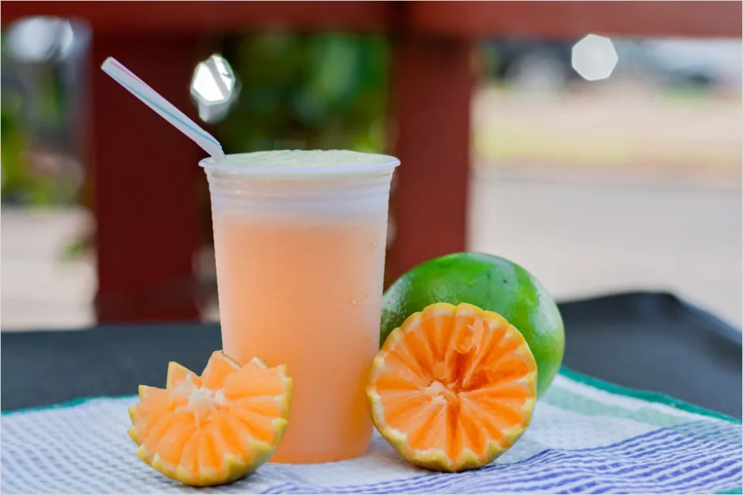 Gambar Jus Sirsak Segar Tanpa Gula Ad32