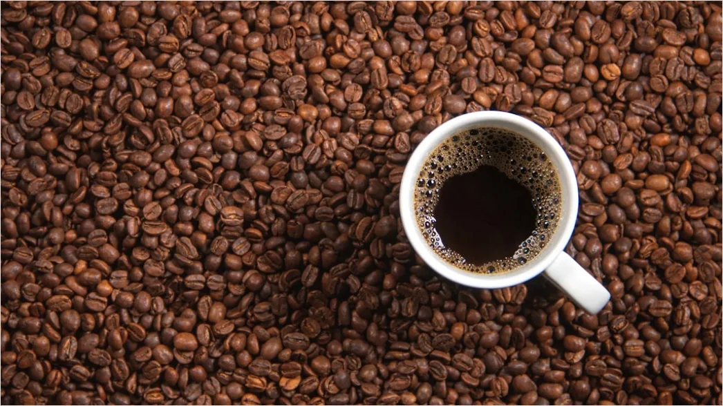 Gambar Kopi Aceh Gayo Biji Sangrai 0040