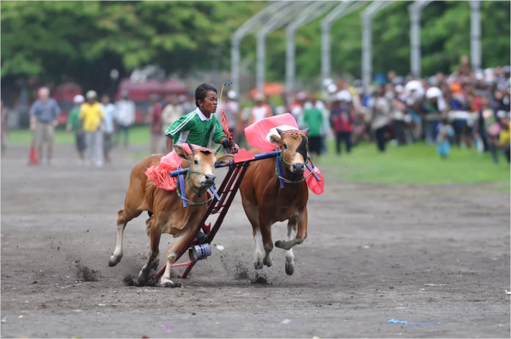 Gambar Lomba Balap Karung Saat Tujuh Belasan C17c