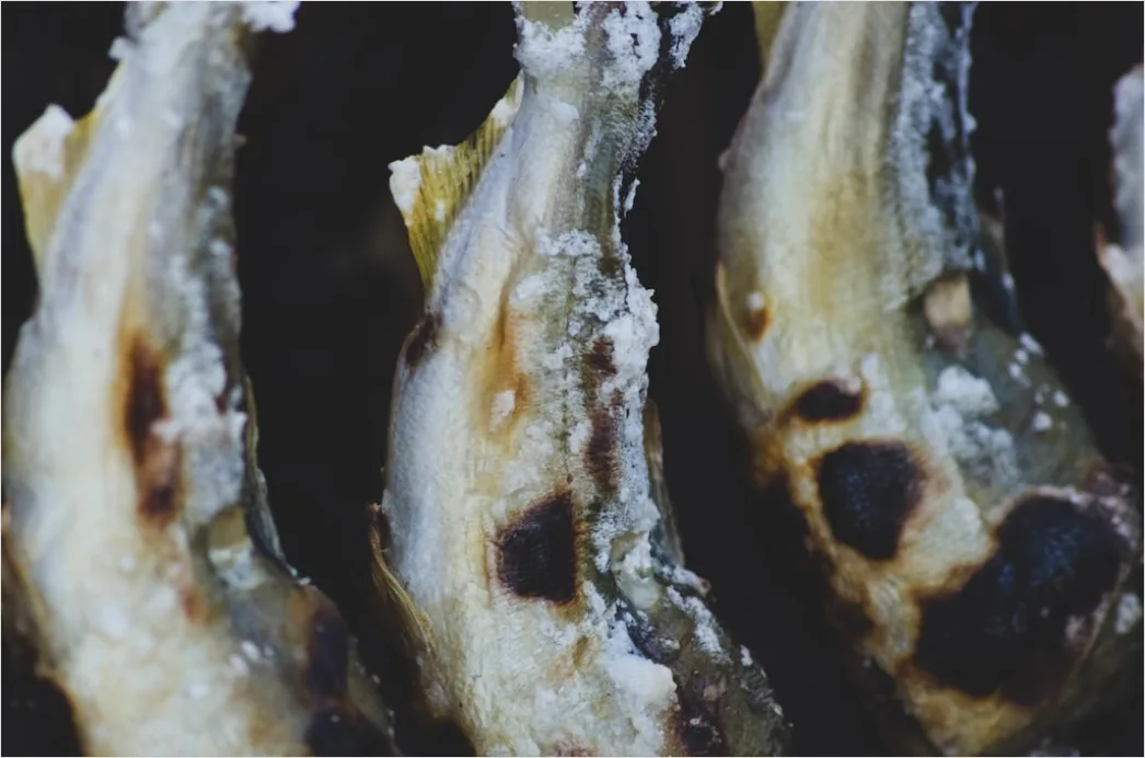 Detail Gambar Pisang Goreng Crispy Dengan Keju Number 8