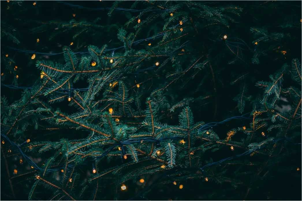 Gambar Pohon Natal Dengan Lampu Bokeh B402