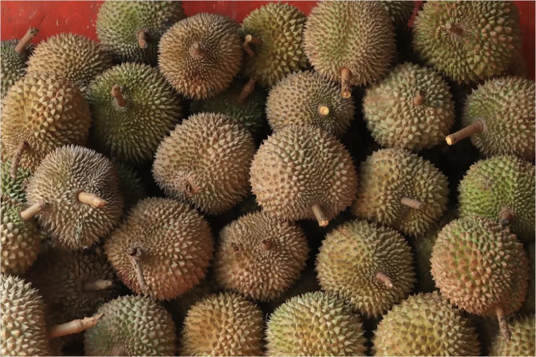 Gambar Rujak Serut Buah Segar Indonesia E3f8