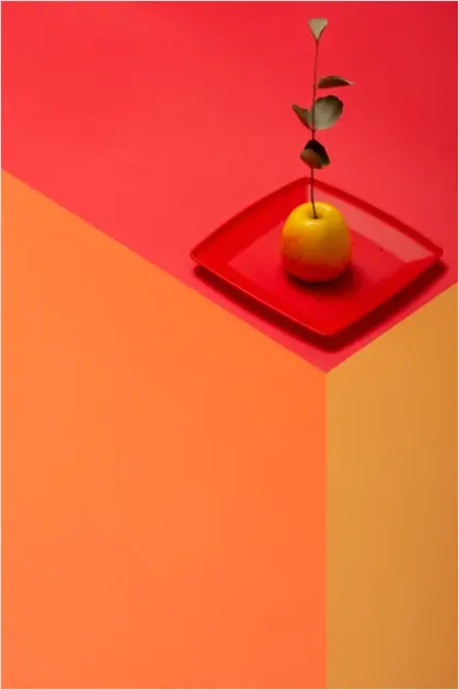 Abstract Still Life Composition Photo E1ed
