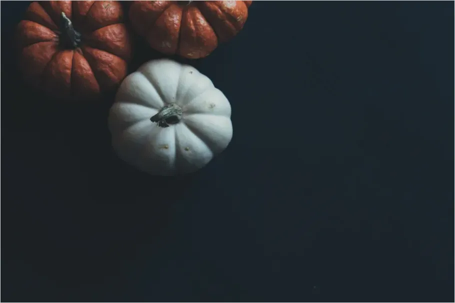 Detail Autumn Still Life Pumpkins Number 5