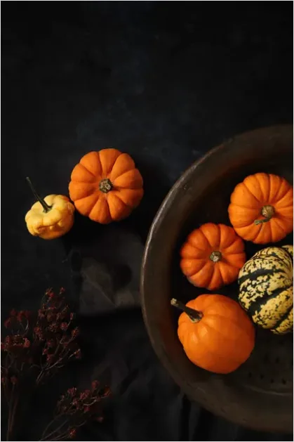 Detail Autumn Still Life Pumpkins Number 8