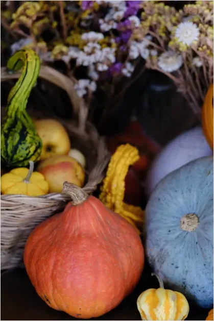 Detail Autumn Still Life Pumpkins Number 9
