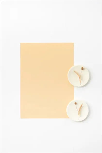 Detail Beige Aesthetic Flat Lay Background Number 16