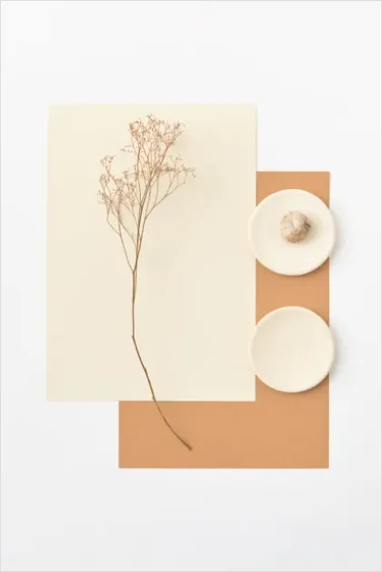 Detail Beige Aesthetic Flat Lay Background Number 7