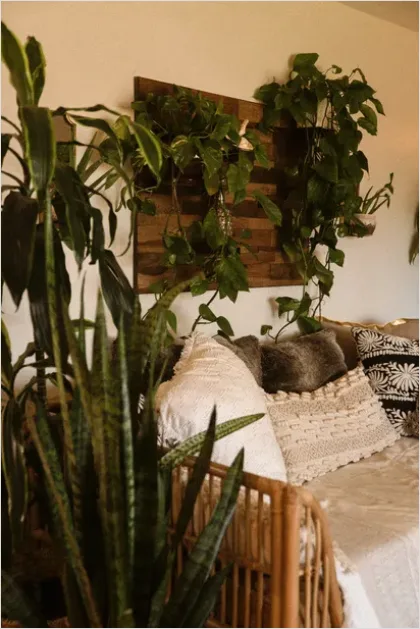 Detail Boho Living Room Decor Plants Number 3