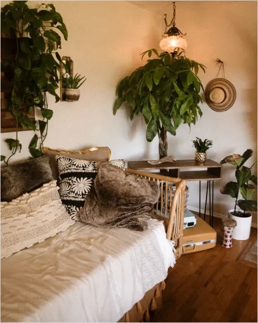Detail Boho Living Room Decor Plants Number 5