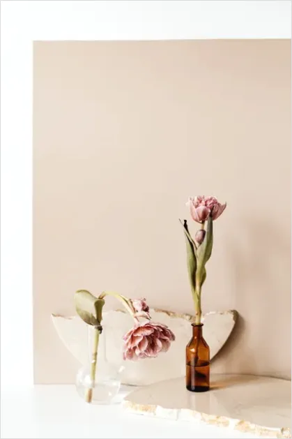 Detail Botanical Still Life Minimal Vase Number 2