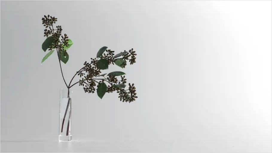 Detail Botanical Still Life Minimal Vase Number 3