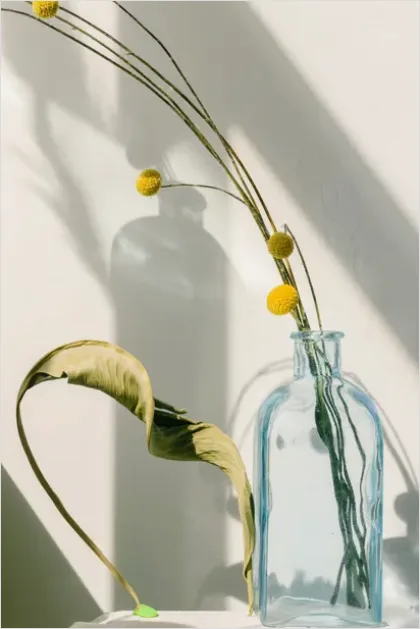 Detail Botanical Still Life Minimal Vase Number 5