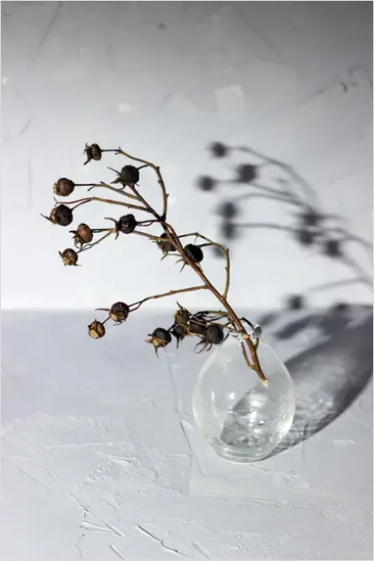 Detail Botanical Still Life Minimal Vase Number 7