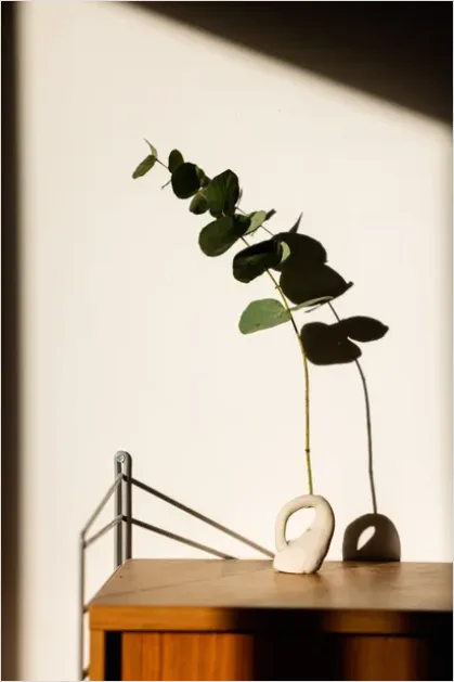 Detail Botanical Still Life Minimal Vase Number 8