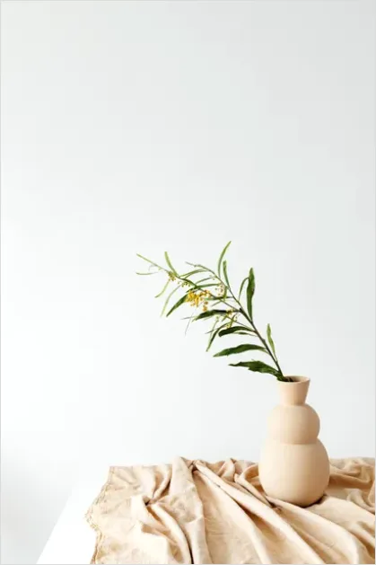 Detail Botanical Still Life Minimal Vase Number 9