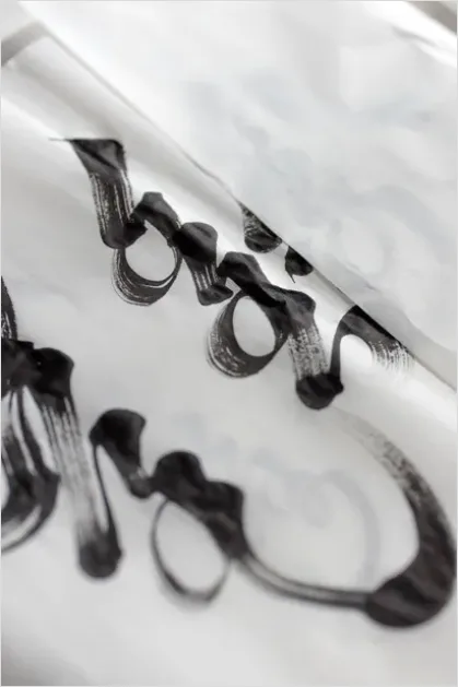 Detail Calligraphy Ink Brush Strokes Close Up Number 3