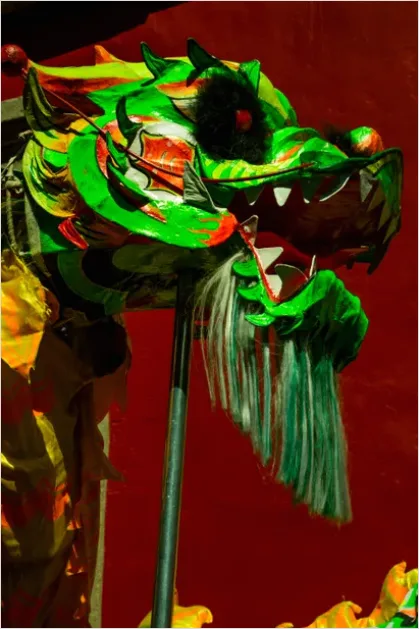 Detail Chinese Dragon Dance Festival Photo Number 7