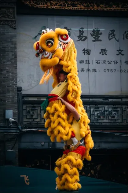 Detail Chinese Dragon Dance Festival Photo Number 9