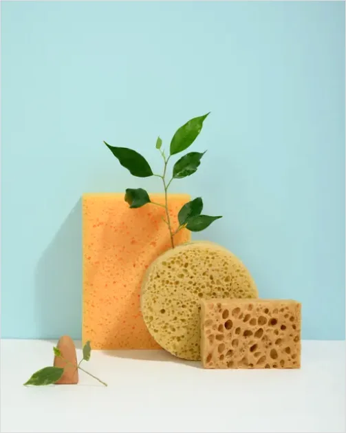Clean Beauty Still Life Natural 0377
