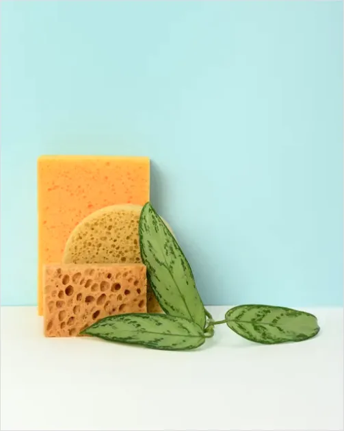 Detail Clean Beauty Still Life Natural Number 3