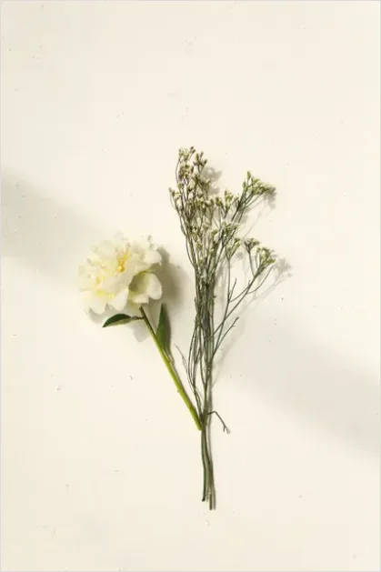 Detail Clean Beauty Still Life Natural Number 4