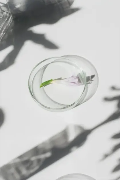 Detail Clean Beauty Still Life Natural Number 10