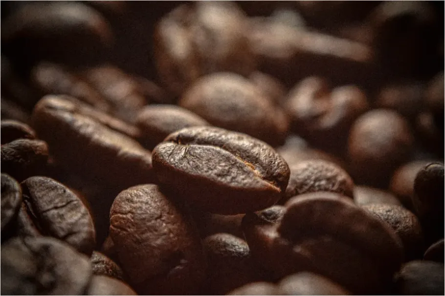 Detail Coffee Beans Still Life Close Up Number 4