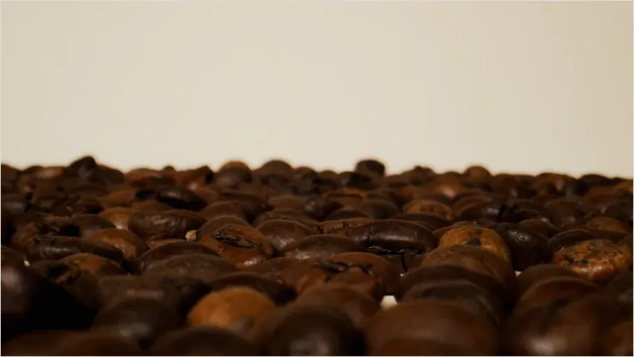 Detail Coffee Beans Still Life Close Up Number 5