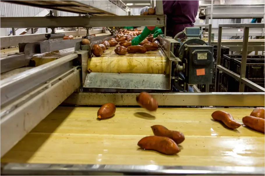 Detail Distribution Center Conveyor Sorting Number 2